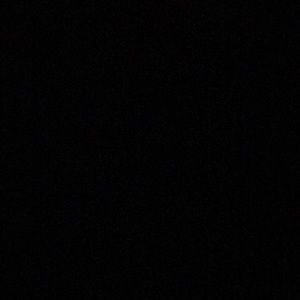 Meet your Posher, Benjamin